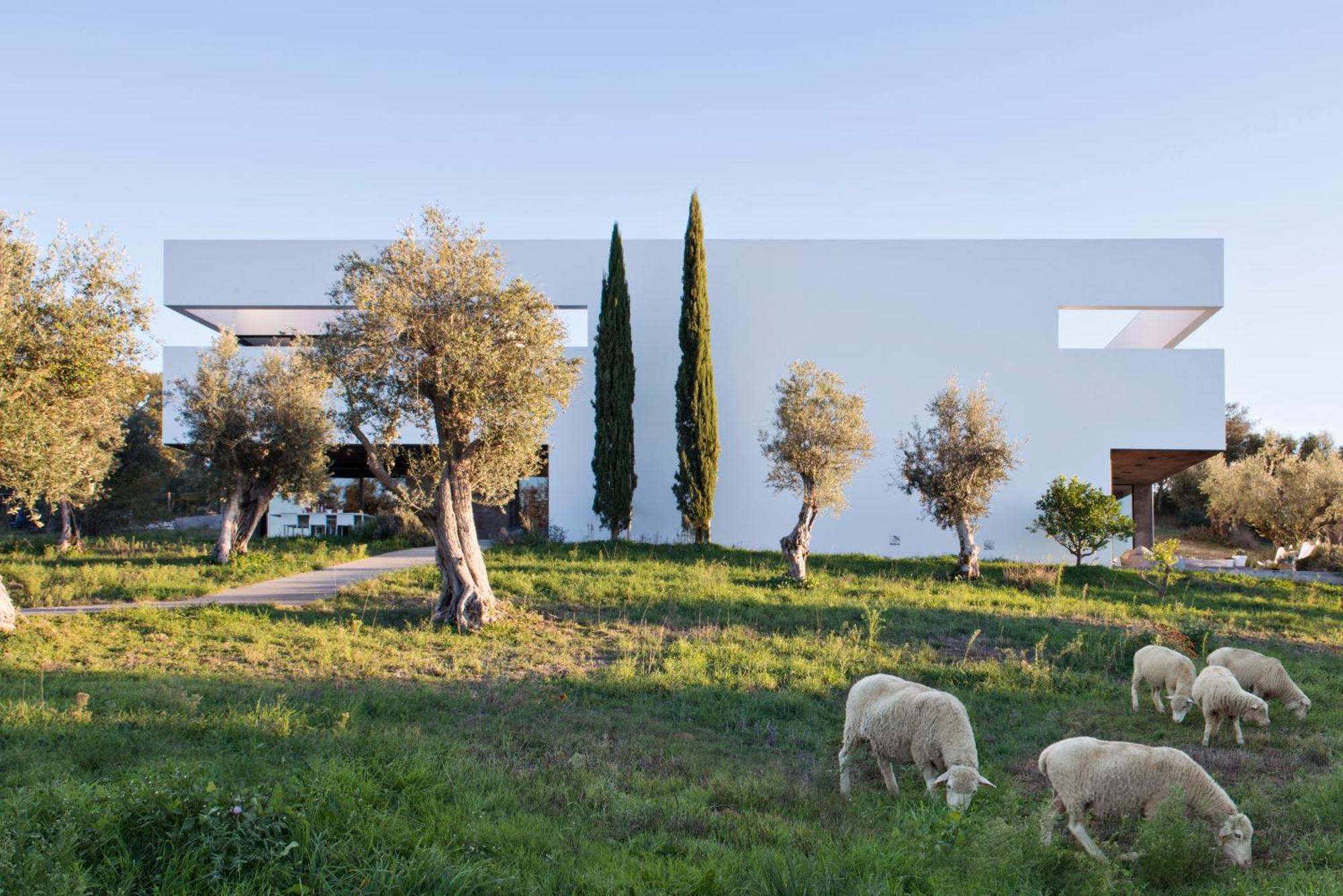 Villa Extramuros Arraiolos Kültér fotó